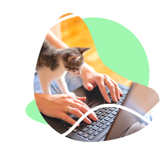 same day loans kitten