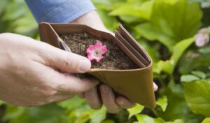 savings grow