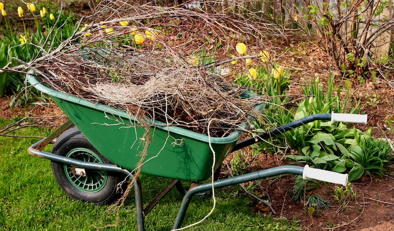 get your garden ready for spring
