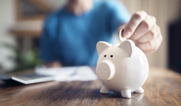 borrow or save illustrated by piggy bank